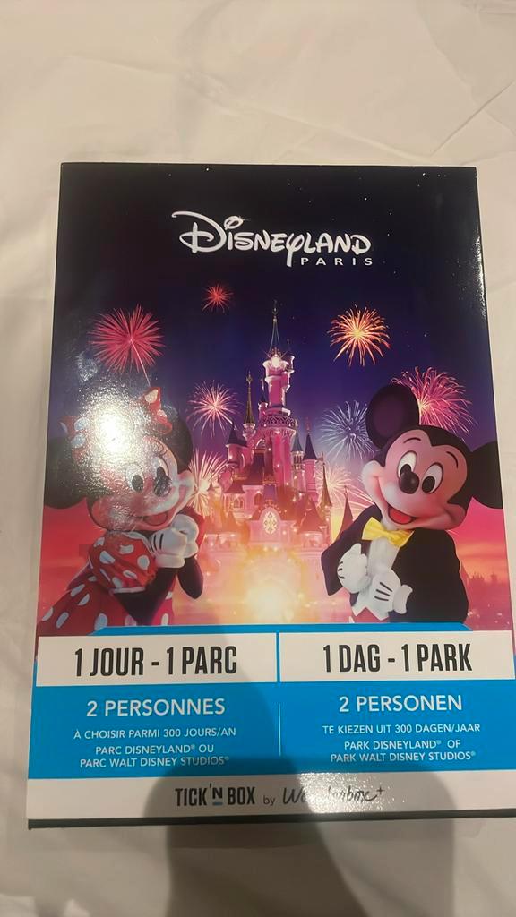 Wonderbox  Disneyland Paris – Dagtoegang (2pers), Tickets en Kaartjes, Kortingen en Cadeaubonnen, Twee personen, Pretpark, Cadeaubon