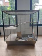Kooi voor ratten, knaagdieren, (Ratopia vxz) Brussels, 60 tot 90 cm, Kooi, Rat, Gebruikt