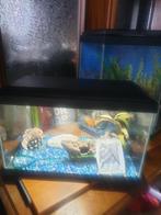 A vendre 2 aquariums équipés !!, Comme neuf, Enlèvement