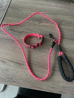 Halsband + leiband, Ophalen, Nieuw, Hondenriem
