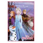 Disney Frozen Vloerkleed Kinderkamer - Disney Tapijt, Enlèvement ou Envoi, Neuf, Tapis ou Coussin