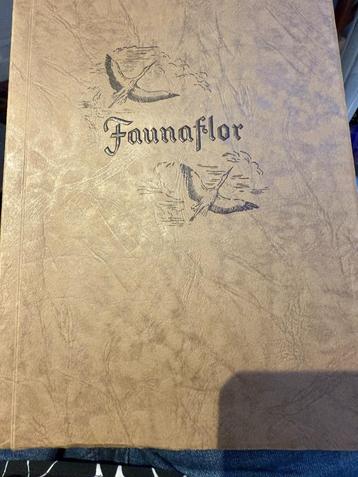 Faunaflor - Côte d'Or - Onvolledig fotoalbum - 1954 -neu beschikbaar voor biedingen