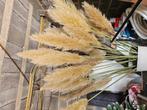 Tige de pampas, Huis en Inrichting, Woonaccessoires | Droogbloemen, Ophalen, Nieuw