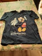 Jongenskledij T-shirten Disneyland , 2 stuks  maat 152/158, Enlèvement, Chemise ou À manches longues, Utilisé, Disney