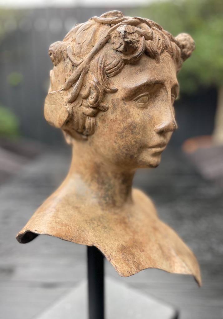 Bronzen buste dameshoofd prachtige patine zuiver fraai brons, Antiek en Kunst, Kunst | Beelden en Houtsnijwerken, Ophalen of Verzenden