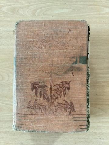 Nouveau petit LAROUSSE illustre beschikbaar voor biedingen