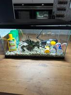 Aquarium met alle toebehoren, Dieren en Toebehoren, Ophalen, Zo goed als nieuw