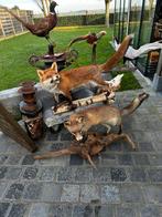 Top stukken te koop taxidermie, Enlèvement