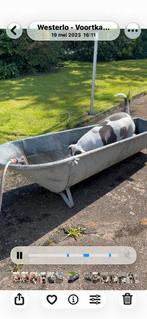 Zinken badkuip, Ophalen, Zo goed als nieuw