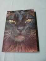 Artis Historia 'De wondere wereld der katten'., Ophalen of Verzenden, Katten