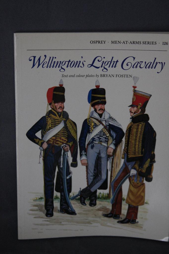 Napoleon - Osprey - Wellingtons Light Cavalry, Boeken, Oorlog en Militair, Zo goed als nieuw, Ophalen of Verzenden