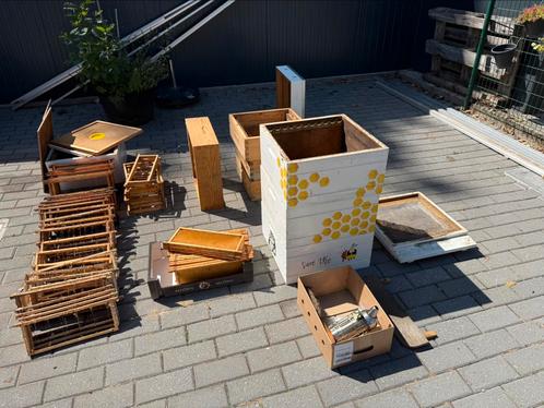 Alles om te starten met bijen !, Dieren en Toebehoren, Insecten en Spinnen, Bijen