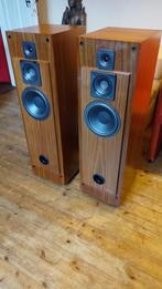 Cabasse Skiff ny (vintage 1996), Audio, Tv en Foto, Gebruikt, 120 watt of meer, Front, Rear of Stereo speakers, Ophalen