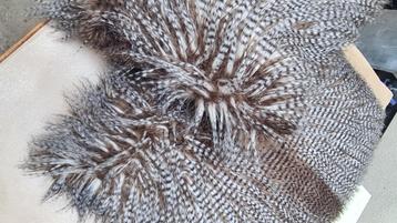 Sierkussen dierenmotief beschikbaar voor biedingen