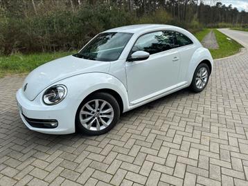 Volkswagen Beetle // 1.2 benzine // 12 maanden garantie//
