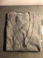 zeer mooie wollen cardigan - vest grijs maat L, Kleding | Dames, Ophalen of Verzenden, Maat 42/44 (L), Grijs