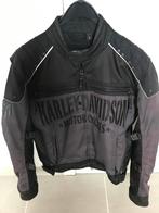 Harley Davidson motorjas, Manteau | tissu, Hommes, Harley Davidson, Seconde main