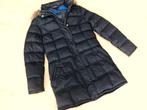 Winterjas Tommy Hilfiger L, Maat 38/40 (M), Tommy hilfiger, Blauw, Nieuw