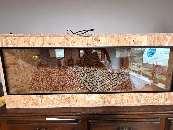 Terrarium, Animaux & Accessoires, Reptiles & Amphibiens | Accessoires, Neuf, Terrarium ou Paludarium, Enlèvement