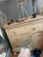 Grote decoratiekooi met echte. Papegaai schilpad, Verzamelen, Ophalen