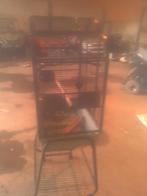 Cage à oiseaux, Animaux & Accessoires, Enlèvement, Utilisé, Métal, Cage à oiseaux