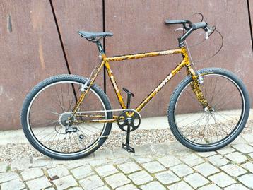 Minerva Hillbilly city cruiser beschikbaar voor biedingen