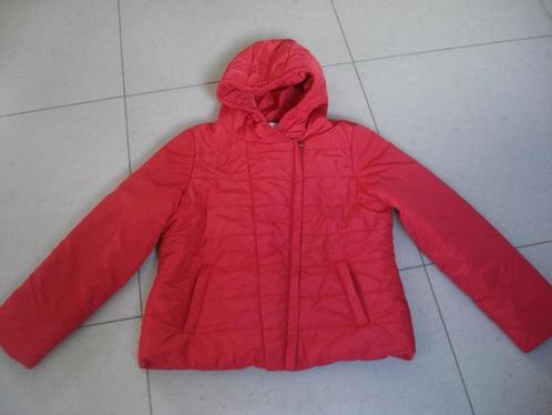 Cassis rode winterjas, dames. mt 44, Kleding | Dames, Jassen | Winter, Zo goed als nieuw, Maat 42/44 (L), Rood, Ophalen of Verzenden