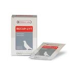 Oropharma Recup-Lyt Electrolytes - Supplément Pigeon 240 gra, Enlèvement ou Envoi, Neuf