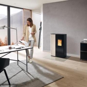 Pelletkachel Rika Sono beschikbaar voor biedingen
