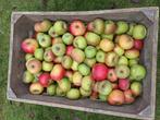Appels Court Pendu Rouge, Diversen, Levensmiddelen, Ophalen