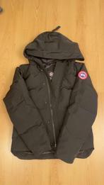 Canada goose Macmillan, Kleding | Heren, Jassen | Winter, Ophalen, Maat 48/50 (M), Zwart, Nieuw