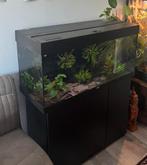 Aquarium Juwel Rio 180 complet, Animaux & Accessoires, Poissons | Aquariums & Accessoires, Enlèvement, Utilisé, Aquarium vide