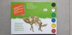 3D houten bouwpakket dino, Ophalen of Verzenden, Nieuw