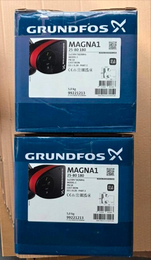 2 circulateurs Grundfos Magna1, Doe-het-zelf en Bouw, Verwarming en Radiatoren, Ophalen