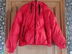 Gewatteerde jas rood maat XL Nieuw, Kleding | Dames, Vero Moda, Maat 46/48 (XL) of groter, Ophalen of Verzenden, Zo goed als nieuw