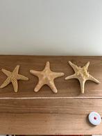 Lot de 3 étoiles de mer décoration mer marine, Verzamelen, Scheepvaart, Ophalen of Verzenden