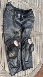 motorbroek Dainese 54, Motoren, Kleding | Motorkleding, Ophalen, Dainese, Broek | leer, Heren