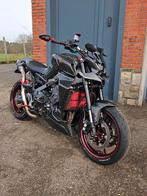 Brute Yamaha MT-09 2024 carbone + 1 an de garantie, Entreprise, Quickshifter, 12 à 35 kW