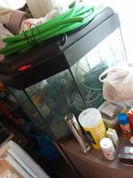 70 euro met kast en alles er bij 2 vissen cadeautje, Dieren en Toebehoren, Vissen | Aquaria en Toebehoren, Ophalen of Verzenden
