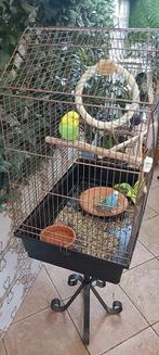 Kooi, 4 vogels, Ophalen of Verzenden, Zo goed als nieuw