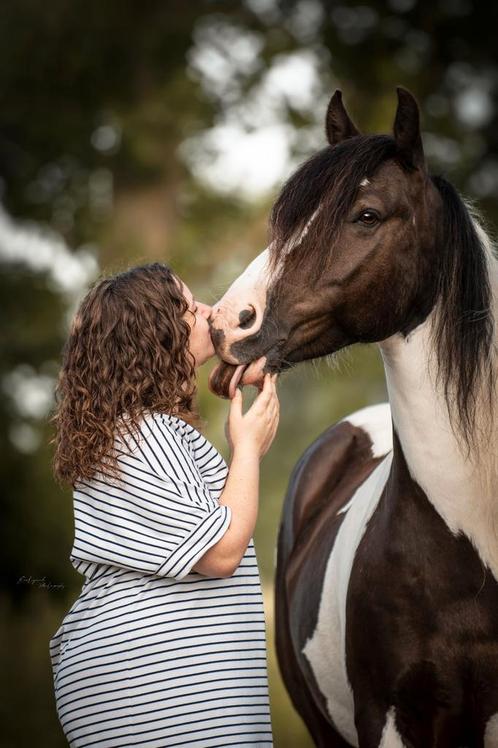 Verzorger/bijrijder gezocht, Dieren en Toebehoren, Paarden, Meerdere dieren, Niet van toepassing