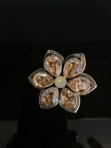 Broche van dolce Luna beschikbaar voor biedingen