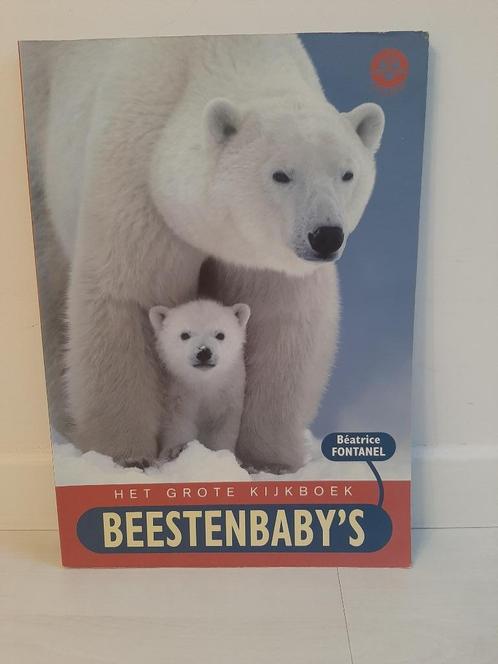 Het grote kijkboek "Beestenbaby's", Livres, Livres pour enfants | Jeunesse | Moins de 10 ans, Utilisé, Non-fiction, Enlèvement