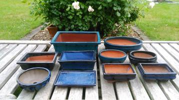 9 Bonsai bloempotten blauwe keramiek bonsaipotten + 1 schaal beschikbaar voor biedingen