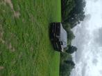 Ford f150 tremor pick up, Autos, Cuir, Autres modèles, Achat, Euro 6