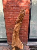 Houtsculptuur uil op boomstam, Ophalen