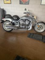Harley-Davidson VRSCA V-Rod 100 Year Anniversary (bj 2003), Particulier