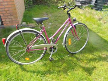 kinderfies beschikbaar voor biedingen