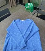 H&M trui dames, Kleding | Dames, Truien en Vesten, Ophalen, H&M, Blauw, Zo goed als nieuw