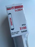 TL lamp Select Plus 1x36 W 3100 lumen nieuw, Overige typen, Nieuw, Overige fittingen, Lamp model TL